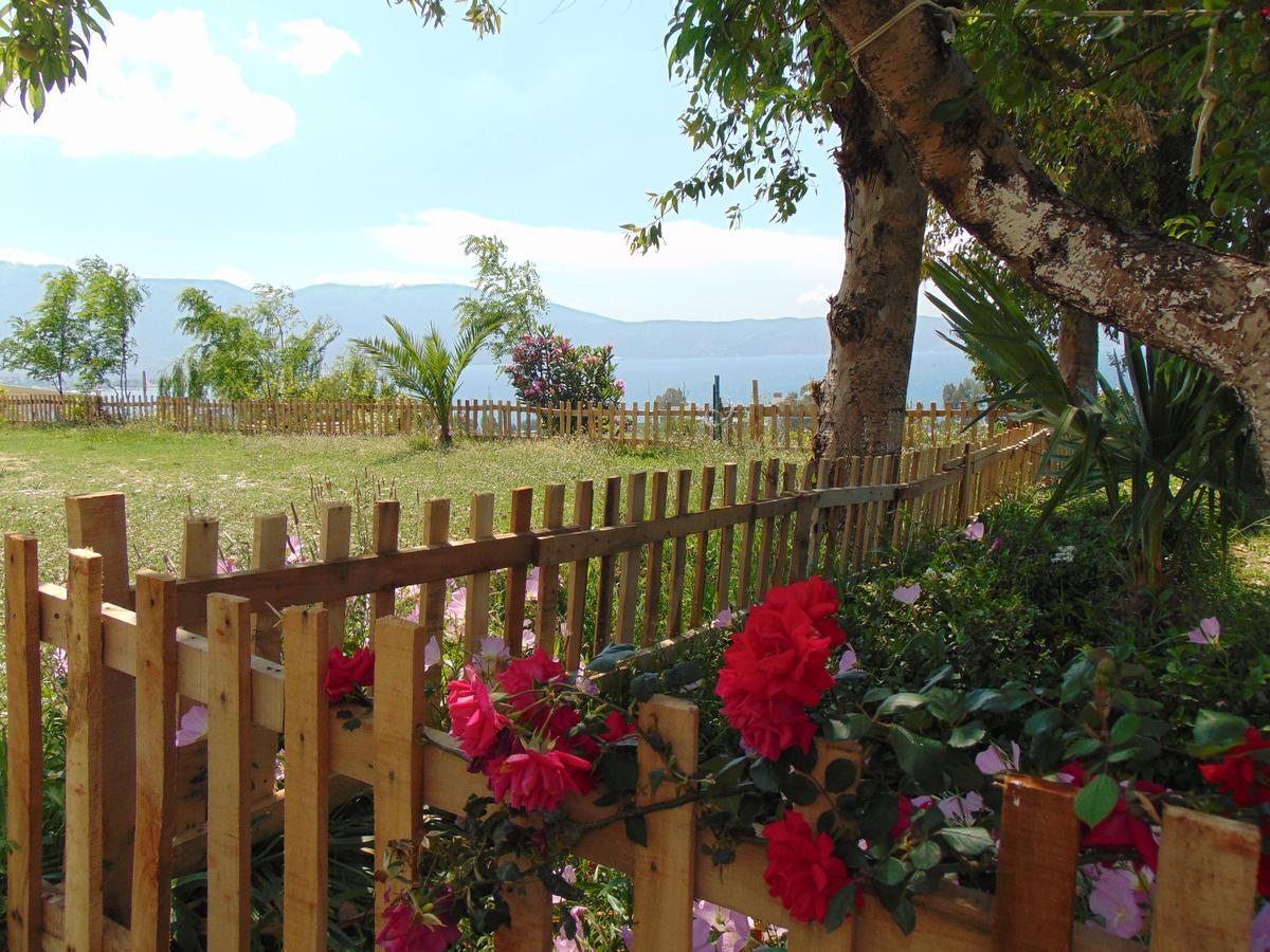 Residence Jazoj วญอเรอ ภายนอก รูปภาพ